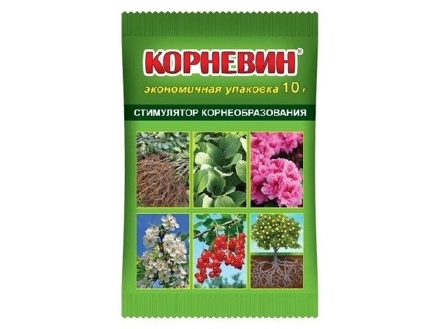 Стимулятор корнеобразования. (пакет 4 гр.) ВХ
